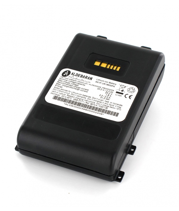 BATTERIES > Li-Ion > Refurbishment Robot NAO 6S1P 22.2V Li-ion battery