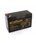 Yuasa 12V 7Ah NP7-12 batteria al piombo