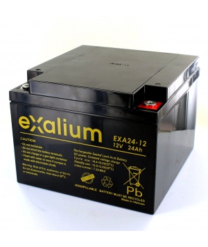Image Batterie Plomb 12V 24Ah EXALIUM (166X175X125) M5 (EXA24-12) 
