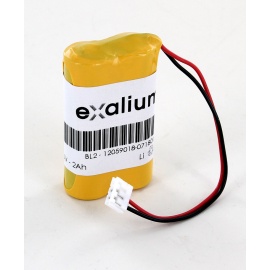 Pile lithium 6V 2Ah pour Alarme Cesar Label (BL2)