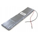 Batterie Ni-Mh 48V 2.1Ah pour Sécateur Electrocoup F3000 Petit Modèle Infaco (F3000PM)