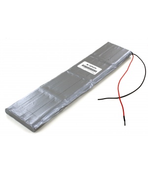 Batterie Ni-Mh 48V 2.1Ah pour Sécateur Electrocoup F3000 Petit Modèle Infaco (F3000PM)