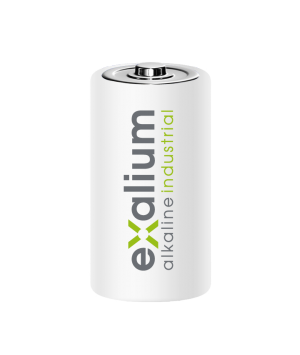 Batteria LR14 C 1.5 v alcaline EXALIUM