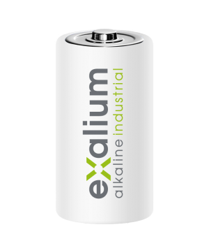 2 batteries LR20 1.5V D alkaline EXALIUM