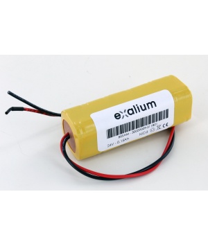 Batterie Ni-Cd 24V 150Ah pour porte automatique Besam (BESAM)