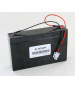 Batterie Plomb 12 V 7Ah OVA51024E pour BAES Guardian OVA