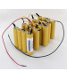 Kit batterie 48V pour secateur Infaco Electrocoup F3010