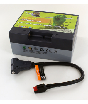 Battery 12.8V 16Ah Li-ion for golf cart 18 holes + charger