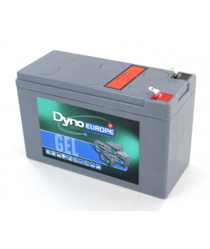 Batterie plomb Gel 12V 7.7Ah/C20 DGY12-7.5EV