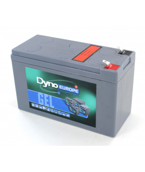 Plomo Gel 12V 7.7Ah batería / DGY12 C20 - EV 7,5