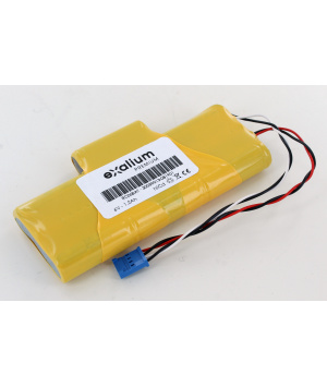 Batterie Ni-Cd 2x6V 1.2Ah type 10VSE4/5A Falard (RC06BAT)