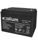 Piombo 6V 10Ah V0 Exalium EXA10 6FR batteria