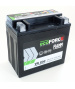 Batterie plomb AGM 12V 12Ah VR200 EcoForce Fiamm