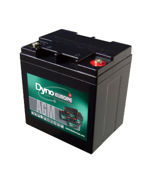 Lead battery AGM 12V 29Ah M5