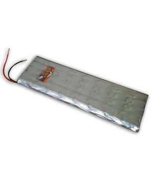 Kit battery 48V pour sécateur Infaco Electrocoup F3005 / R4005