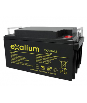 Batterie Plomb 12V 65Ah EXALIUM (350X166X174) M6 (EXA65-12) 