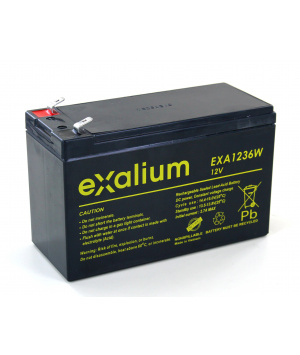 Image Batterie Plomb 12V 36W/Cell/10min (151x65x94) EXALIUM (EXA1236W)