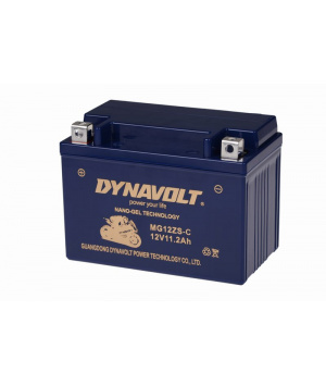 Batterie démarrage plomb nano Gel 12V 11.2Ah 170A MG12ZS-C Dynavolt