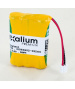 Batteria 3.6V Nimh per Case MCQ EasyTest codici Rousseau