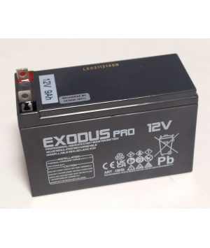 Batterie plomb 12V 9Ah 180A High Rate booster (0819)