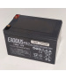 Lead Battery 12V 22Ah High Rate Special Booster