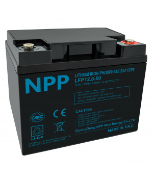 Batterie 12.8V 50Ah LFP 640Wh M6 + bluetooth NPP (LFP12.8-50)