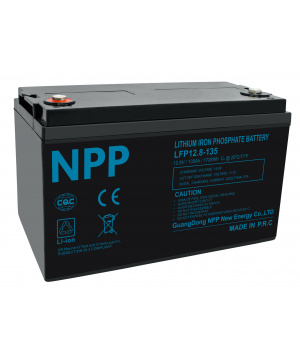 12,8 V 135 Ah LFP 1728 Wh M8 Akku + Bluetooth NPP LFP12.8-135