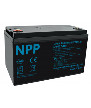 12,8 V 135 Ah LFP 1728 Wh M8 Akku + Bluetooth NPP LFP12.8-135