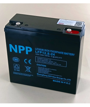 Batteria 12.8V 24Ah LFP 307Wh M5 + Bluetooth NPP LFP12.8-24