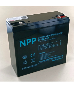Batterie 12.8V 30Ah LFP 384Wh M5 NPP (LFP12.8-30)