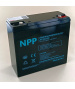 Batteria da 12,8 V 24 Ah LFP 307 Wh M5 NPP LFP12.8-24