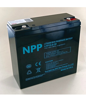 12.8V 30Ah LFP 384Wh M5 Battery + Bluetooth NPP LFP12.8-30