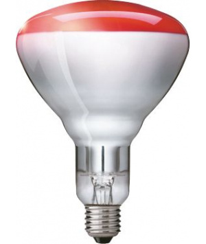 Philips BR125 IR 250W E27 230-250V Red 1CT/10 Lamp