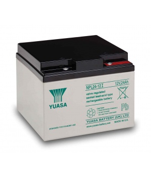 Batterie Plomb 12V 24Ah Yuasa (166X175X125) M5 (NPL24-12I) 