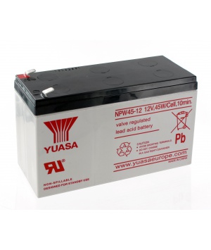 Batterie Plomb Yuasa 12V 45W NPW45-12 spéciale onduleur