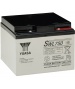 Batterie Plomb YUASA SWL750 12V 25Ah