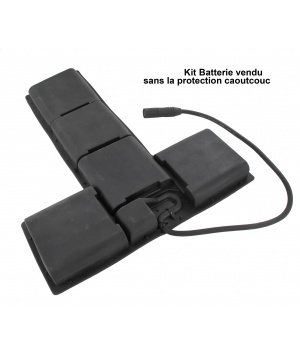 Kit batterie 48V pour secateur Electrocoup Infaco (f3010)