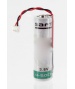 Pile Lithium 3.6V pour Enregistreur de Temperature JRI SPY TH/TC/UN