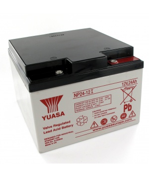 Batterie Plomb Yuasa 12V 24Ah NP24-12