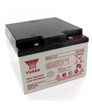 Batterie Plomb 12V 24Ah Yuasa (166X175X125) M5 (NP24-12I) 