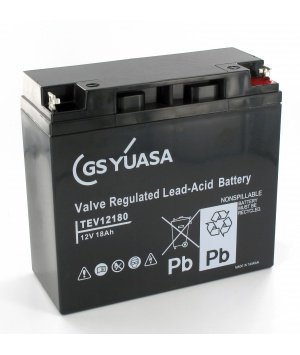 Yuasa 12V 18Ah TEV12180 batteria al piombo