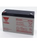 Batterie Plomb Yuasa 6V 10Ah NP10-6FR