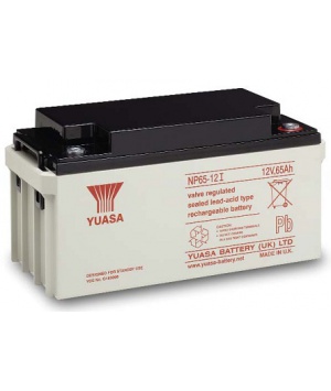 Batterie Plomb 12V 65Ah Yuasa (350X166X174) M6 (NP65-12I) 