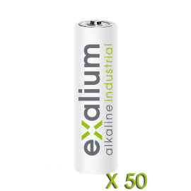 Pile Alcaline Exalium Industrial LR06 Boite de 50