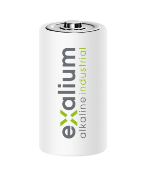 Boite de 12 Piles Alcaline Exalium Industrial LR20