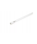 Philips TÜV 6W FAM/10X25BOX G5 Keimtötende Lampe