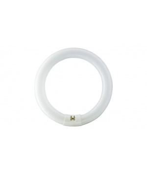 Lampe Philips MASTER Circular Super 80 TL-E 22W/840 1CT/12 Lampe Philips MASTER Circular Super 80 TL-E 22W/840 1CT/12