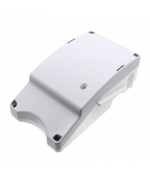 Batería de iones de litio SS-2230002640 de 32,4 V y 2 Ah para aspiradora Rowenta X-Ô 160