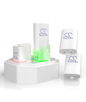 Confezione caricabatterie + 4 batterie per Microsoft Xbox X1, Xbox XSX Confezione caricabatterie + 4 batterie per Microsoft Xbox X1, Xbox XSX
