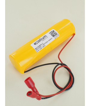 Batterie 2.4V 4Ah NiCd pour BAES GLAMOX GEF 108-E3/S SINGLE